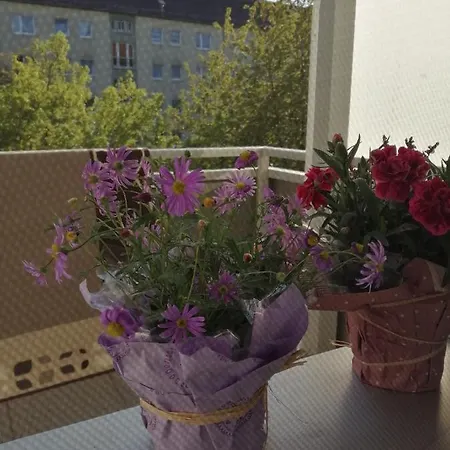 Habitación en casa particular Grun Nur Fur Frauen Only Booked For Women Dresde